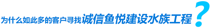 為什么如此多的客戶(hù)尋找誠(chéng)信魚(yú)悅建設(shè)水族工程